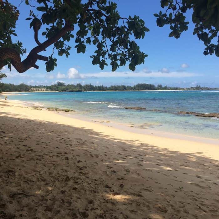 54-353 Kamehameha Highway - 2